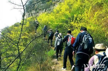 【图】爬山<em>穿长裤还是短裤好</em> 小编告诉你8个爬