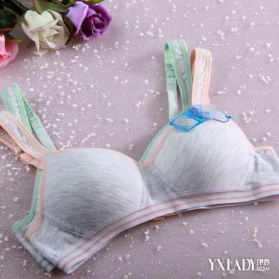 【图】女性<em>无钢圈小型胸罩</em> 教你穿出健康(2)_无