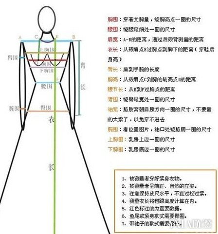 【图】女生宽肩标准 解析女生肩宽衡量标准购衣不再烦恼