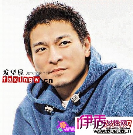 <em>男士发型</em>中比较常见的<em>几款发型</em>名称