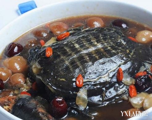 [图]土豪金甲鱼奢华雍容照样能吃 甲鱼药膳滋阴