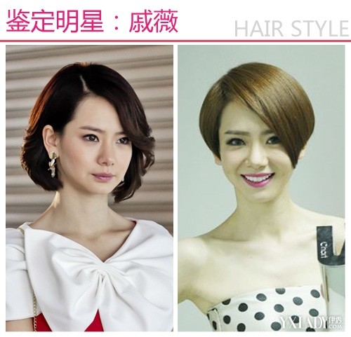 【图】<em>发型</em>图片 戚薇郭采洁<em>谢娜</em>小S<em>短发发型</em>超