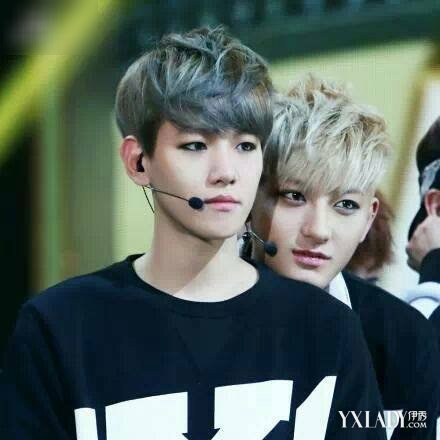 【图】EXO边<em>伯贤</em>黄子韬张艺兴朴灿烈不同风