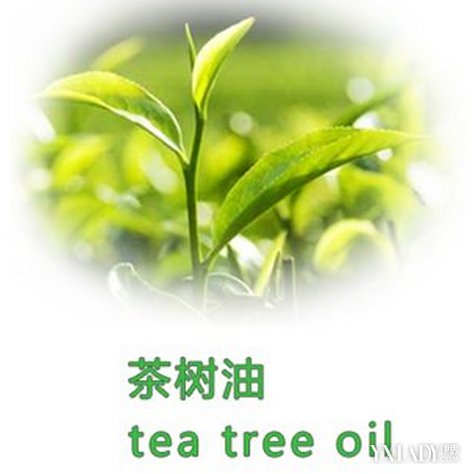 【图】茶树油祛痘有效吗 六大用法助你快速还