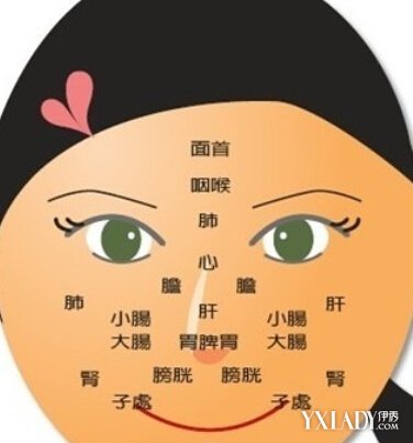 【图】青春痘长在不同位置反映不同健康问题 