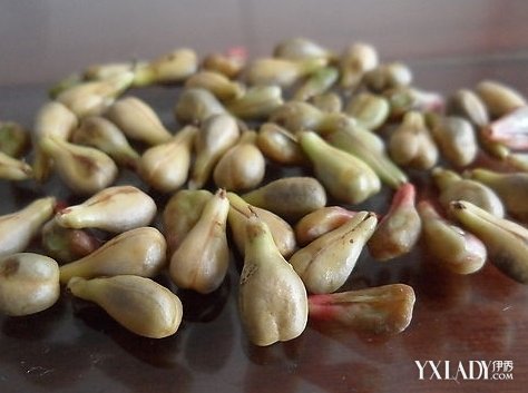 【图】孕妇可以做什么美白 教你吃葡萄籽美白