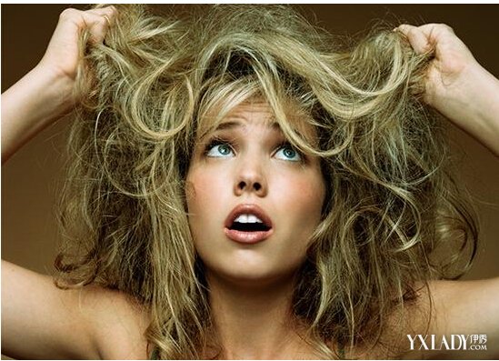 【图】<em>头发</em>干枯毛躁怎么护理 揭秘其原因及解