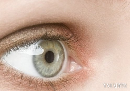【图】关于眼睛肿痛是什么原因引起的相关保健