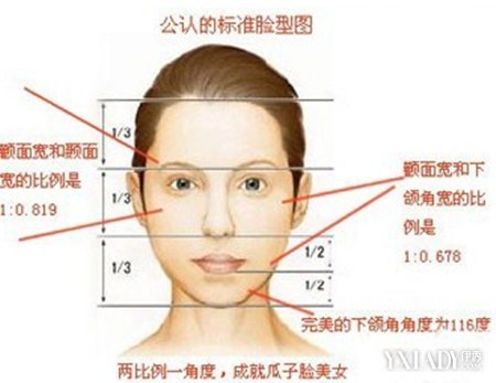 【图】脸形分类图全解 女生如何轻松的分辨自己的脸型
