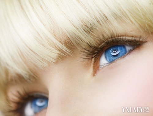 【图】世界上稀有的紫眼睛 为什么眼睛的颜色会不同?