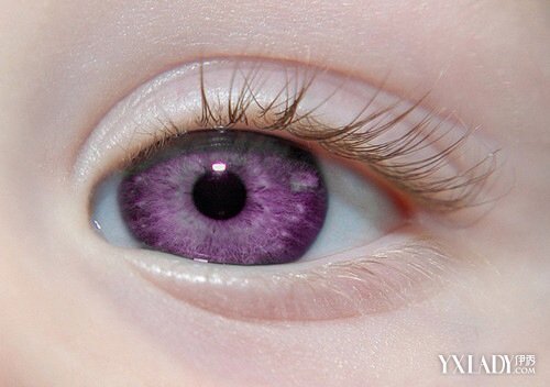 【图】世界上稀有的紫眼睛 为什么眼睛的颜色会不同?