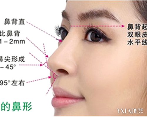 【图】中国人的鼻子类型 教你怎么看鼻子辨种族