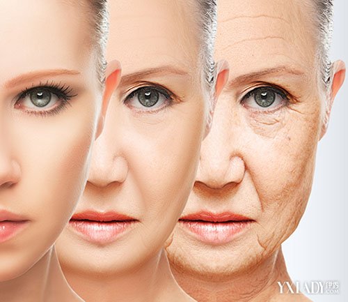 【图】皮肤老化原因是什么 怎样去预防皮肤老