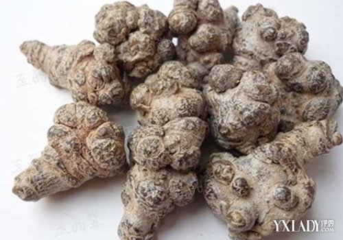 【图】三七能祛斑吗 三七粉的正确吃法_三七能