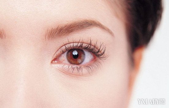 【图】下眼皮肿是什么原因 介绍眼袋常出现的