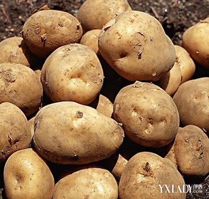 【图】土豆可以去斑吗 土豆的祛斑原理是什么