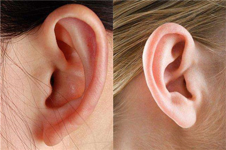 耳垂有褶皱意味什么 病症的明显征兆