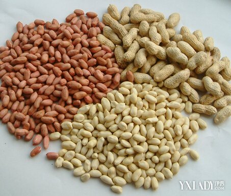 【图】催乳食谱催乳的食物有哪些 催乳食谱猪