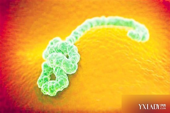 【图】塞拉利昂埃博拉病例剧增村民好心塞 埃