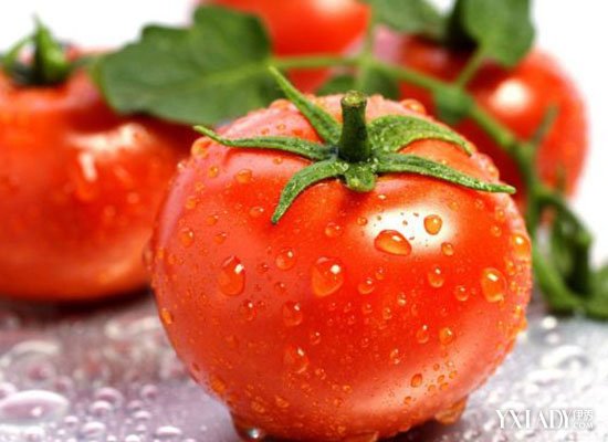 【图】晚餐吃什么能减肥 西红柿晚餐促进代谢
