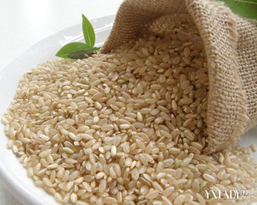 【图】糙米减肥 3道糙米美食让你健康甩走肥肉