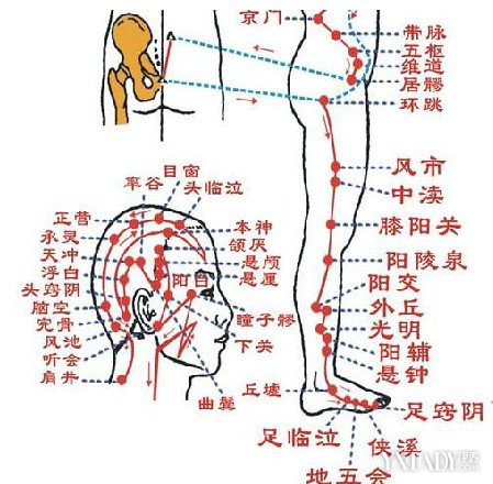 【图】胆经主要穴位有哪些 教你辨别穴位学会益胆护胆