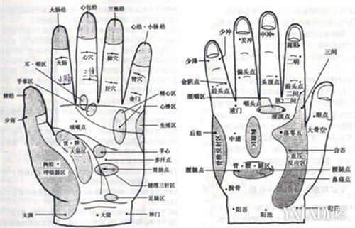 【图】双手的穴位解析 99个穴位的健康要诀