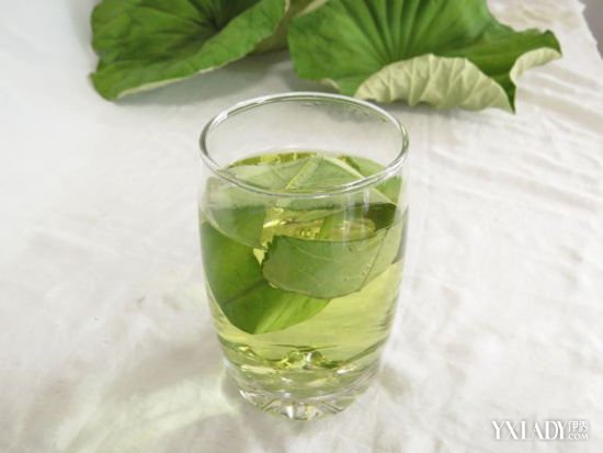 【图】荷叶粉能减肥吗 荷叶药用价值汇总夏日