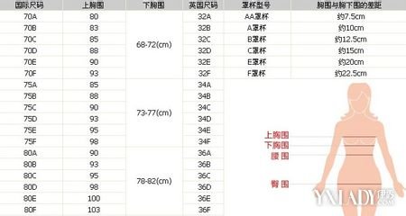 美体 资讯 美体资讯 正文胸围尺寸说明:胸罩型号是由胸罩尺寸和罩杯