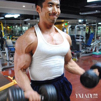 【图】健身房肌肉训练教程有哪些 值得你收藏