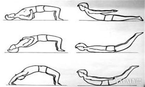 【图】预防腰椎滑脱的锻炼方法 五种简单的锻炼方法
