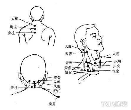 【图】颈部穴位按摩 正确的方法不仅美颈嫩肤还可预防
