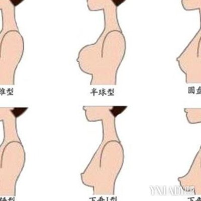 【图】鉴赏美乳房图 防止乳房衰老八大措施