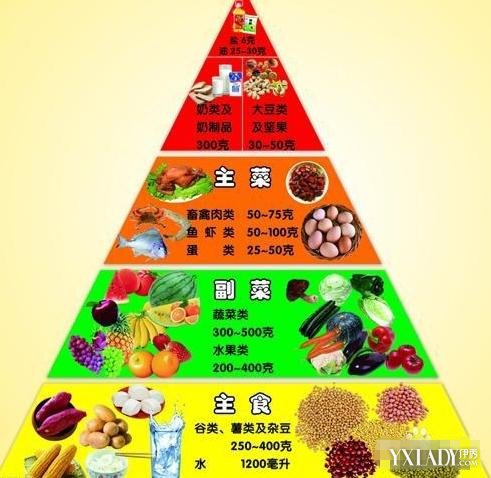 饮食金字塔