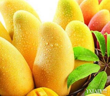 【图】芒果减肥还是增肥呢? 揭秘芒果具有排毒