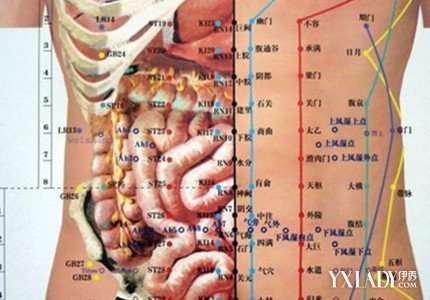 【图】肚子减肥穴位图展示 揭秘轻松减肚子需要按摩的