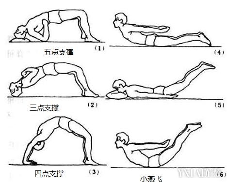 【图】三点式腰背肌锻炼方法分享 5大方法让你腰背健康