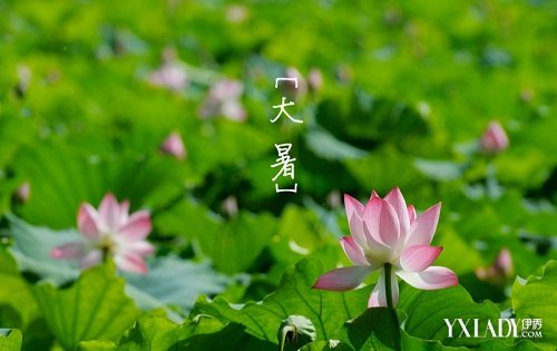 大暑节气吃什么消暑