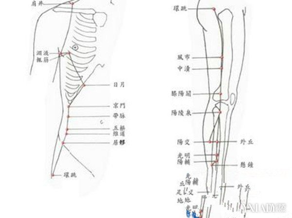 【图】腿上胆经穴位图怎么找 敲胆经如何瘦腿呢