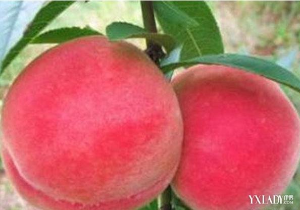 【图】吃桃能减肥吗 分析其5大营养价值_吃桃