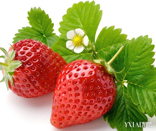 【图】饭后吃苹果有助于消化吗? 下面为你介绍