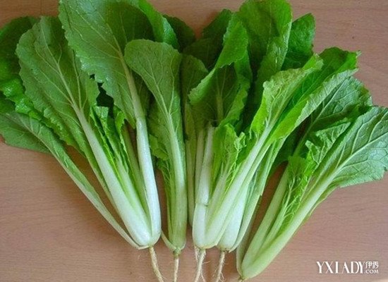 【图】七日蔬菜减肥法有哪些 介绍做法简单又