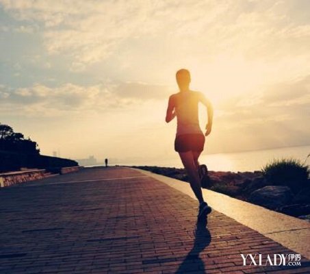 【图】天天跑步可以减肥不? 告诉你什么时间跑