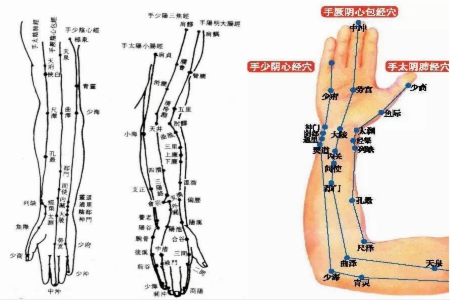 【图】手臂六条经络图 发现胳膊里的秘密