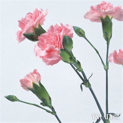 【图】送老师什么礼物最好呢 毕业适合送老师