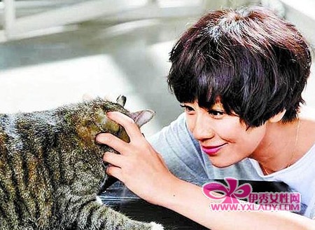 女星未婚先孕挤豪门贾静雯王静莹少奶梦落空