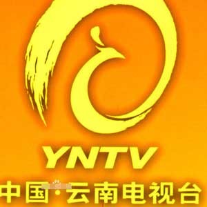  云南卫视音乐现场 在线直播及x档案节目表_内地