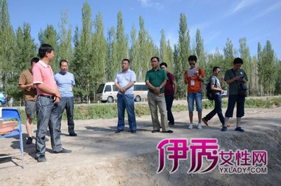 全国卫视看兵团采访二十四团_戏剧综艺_娱乐