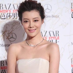  车晓 个人资料 电视剧 与老公离婚原因及妈妈王丽