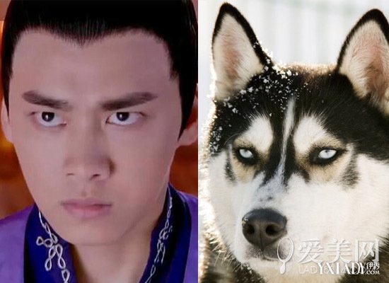 李易峰王珞丹+一穿 古装 就 变 丑明星